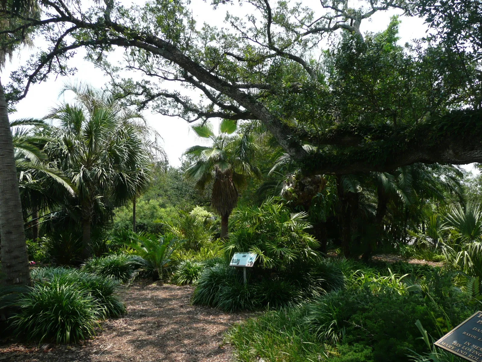 New Orleans Botanical Garden