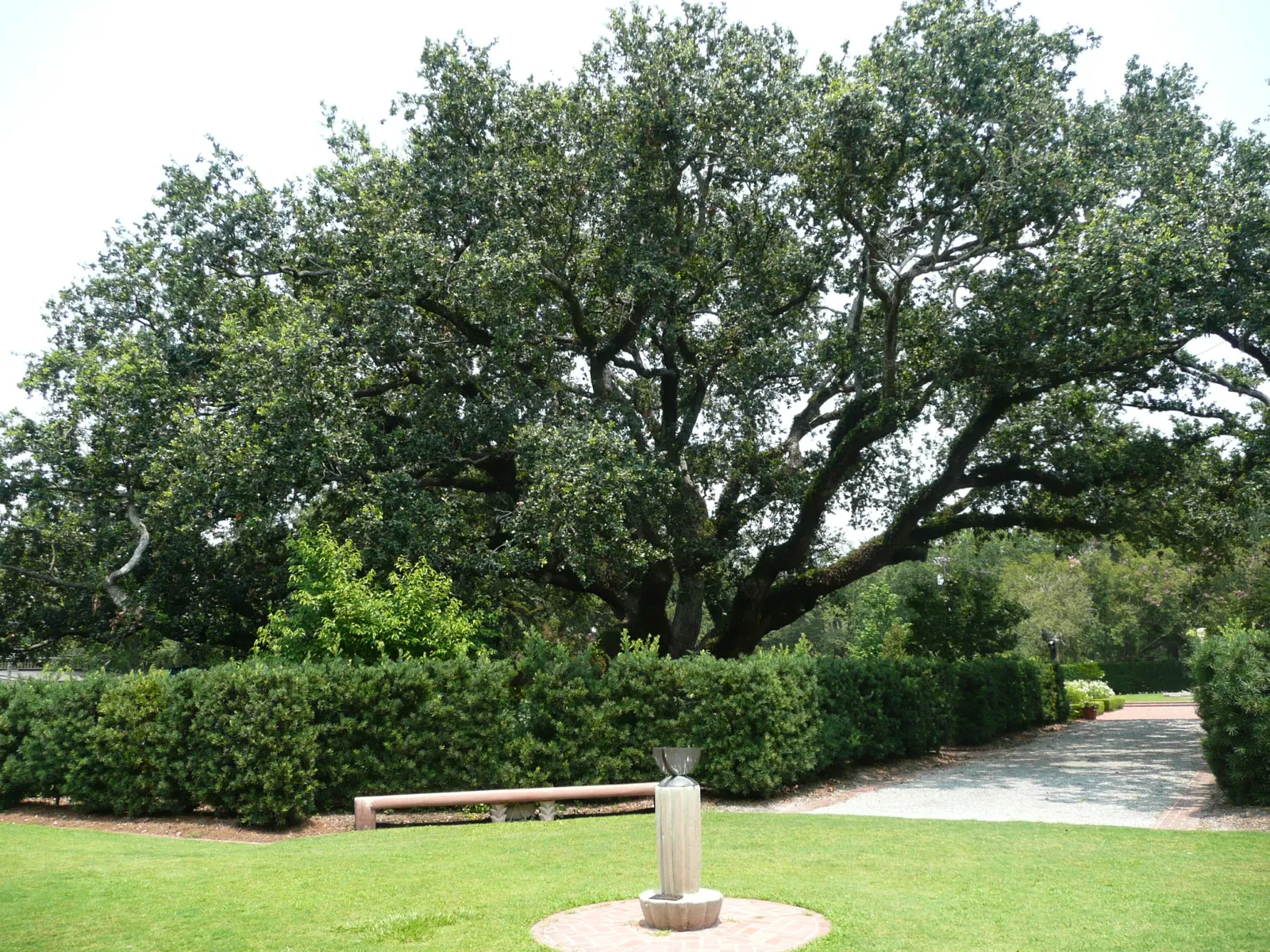 New Orleans Botanical Garden