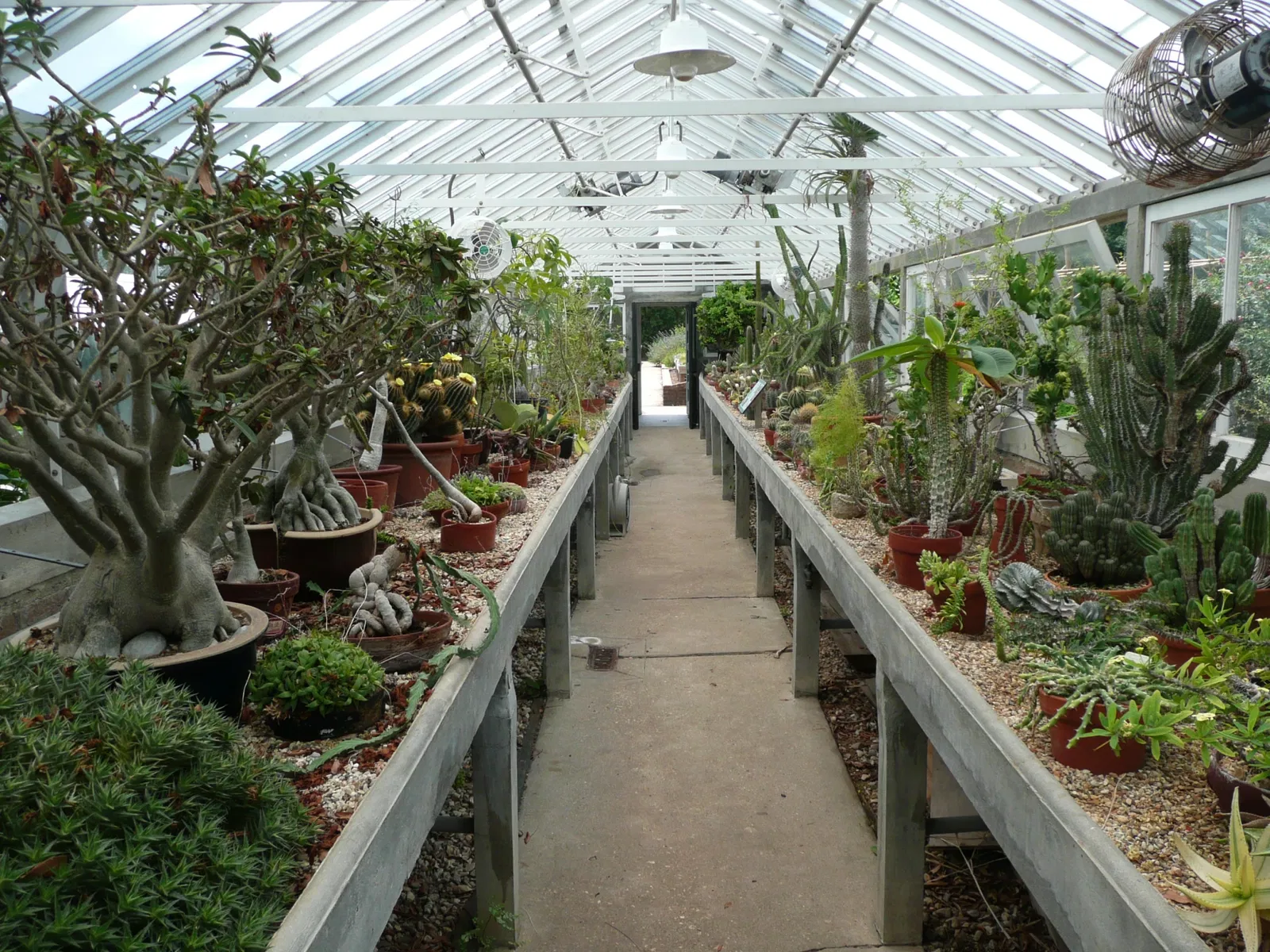 New Orleans Botanical Garden