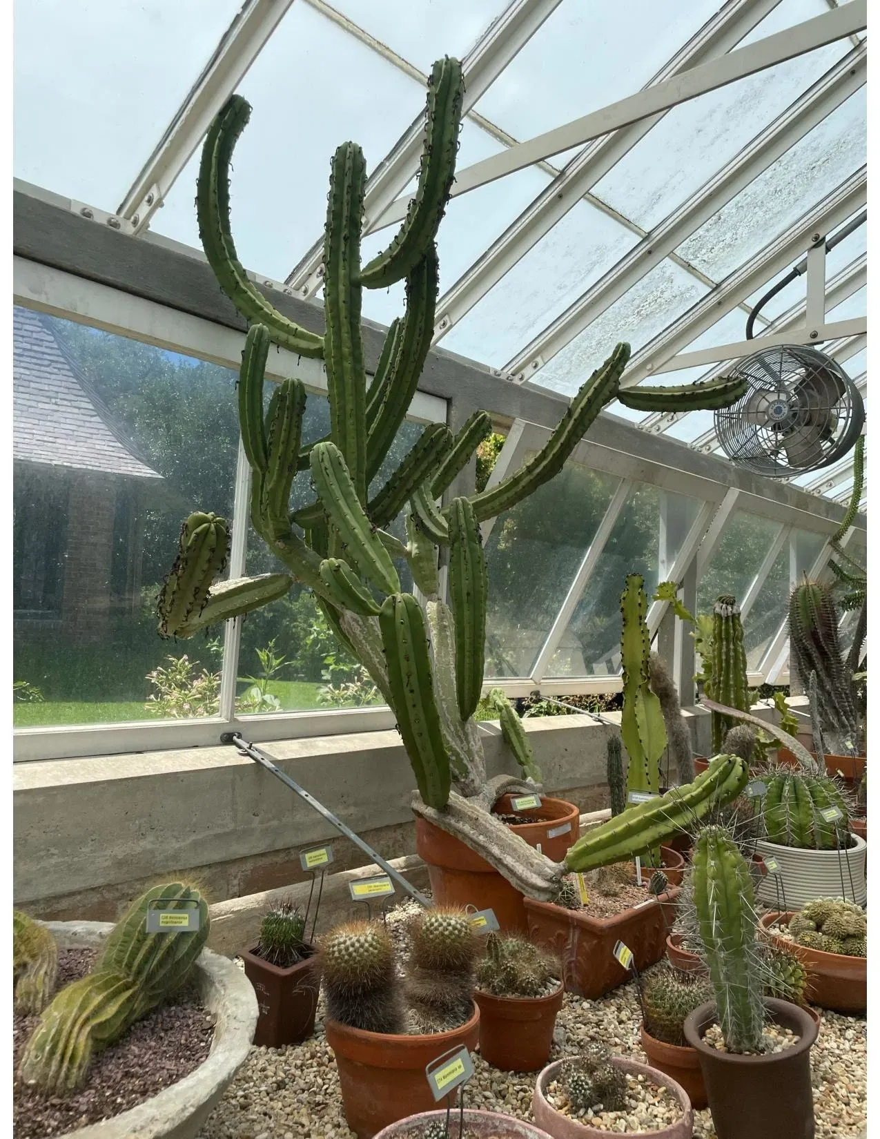 New Orleans Botanical Garden