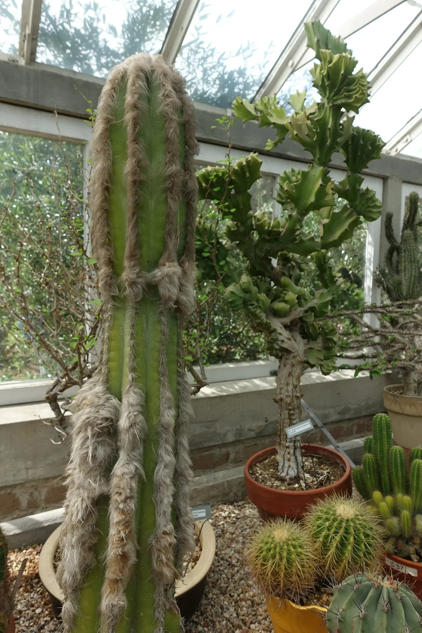 New Orleans Botanical Garden