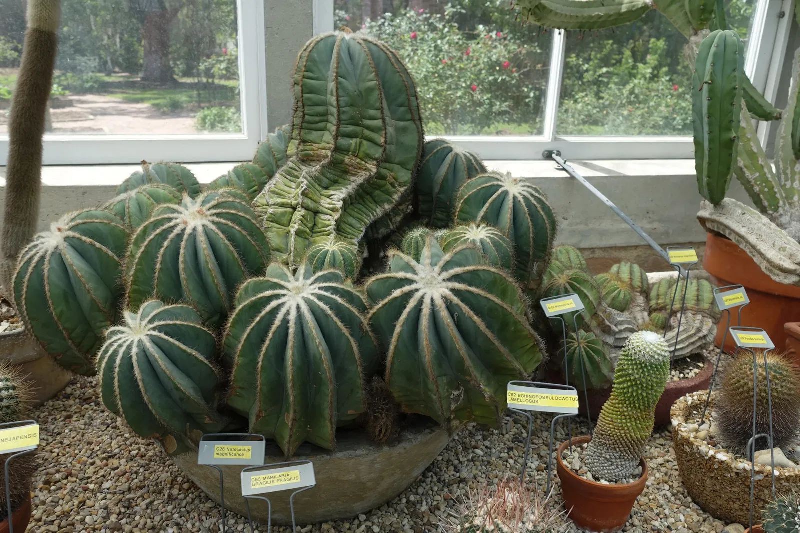 New Orleans Botanical Garden