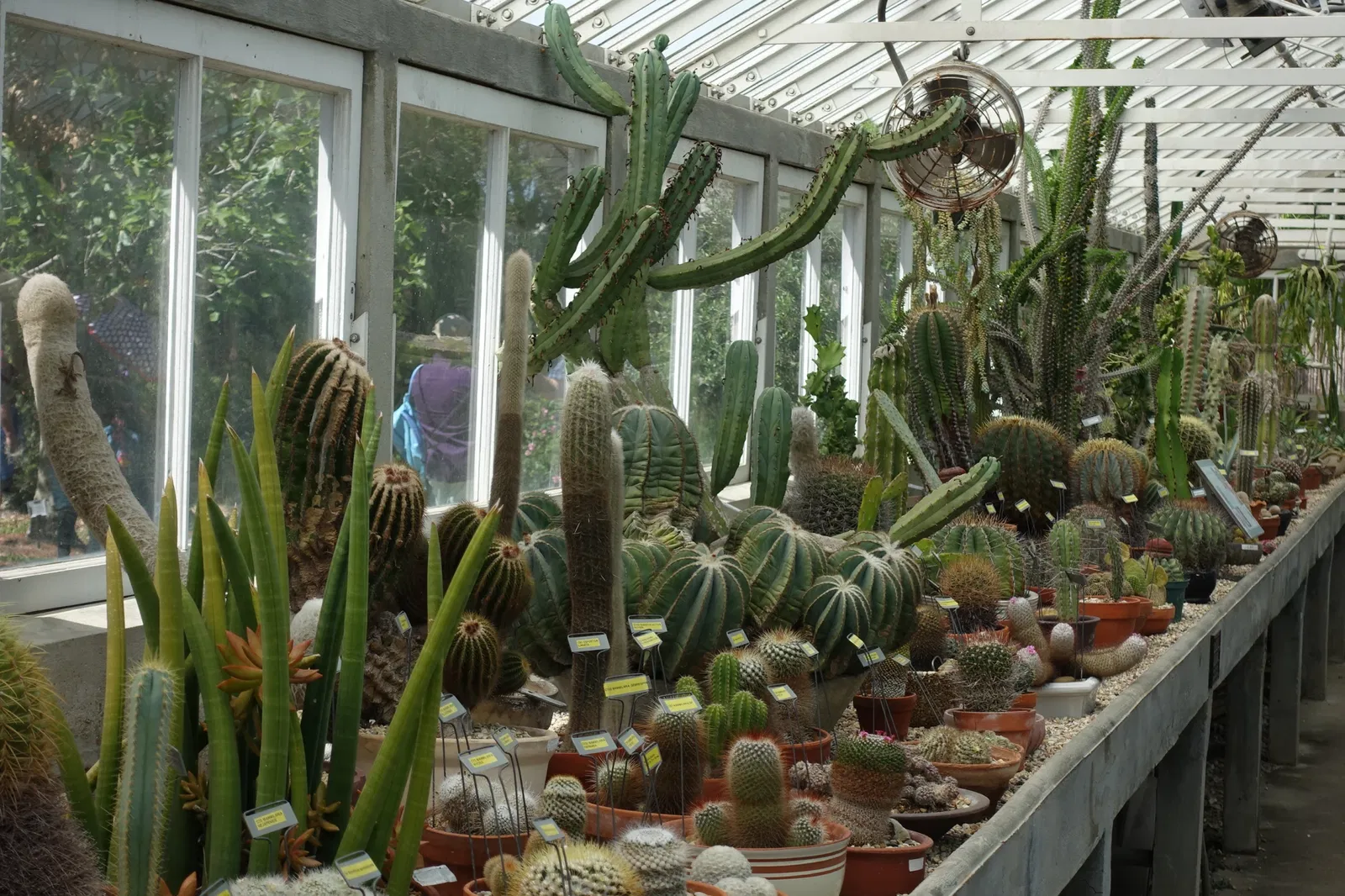 New Orleans Botanical Garden