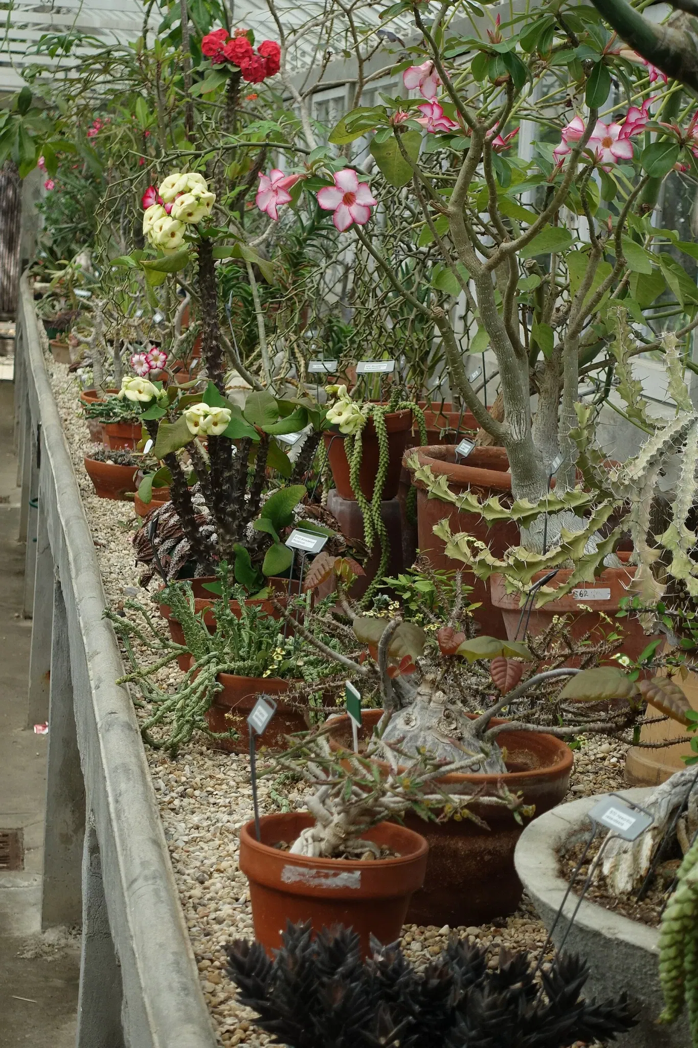 New Orleans Botanical Garden