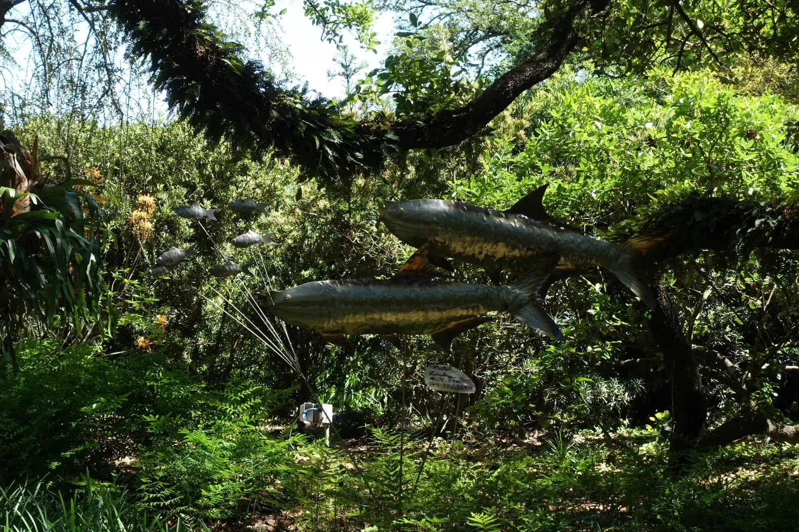 New Orleans Botanical Garden