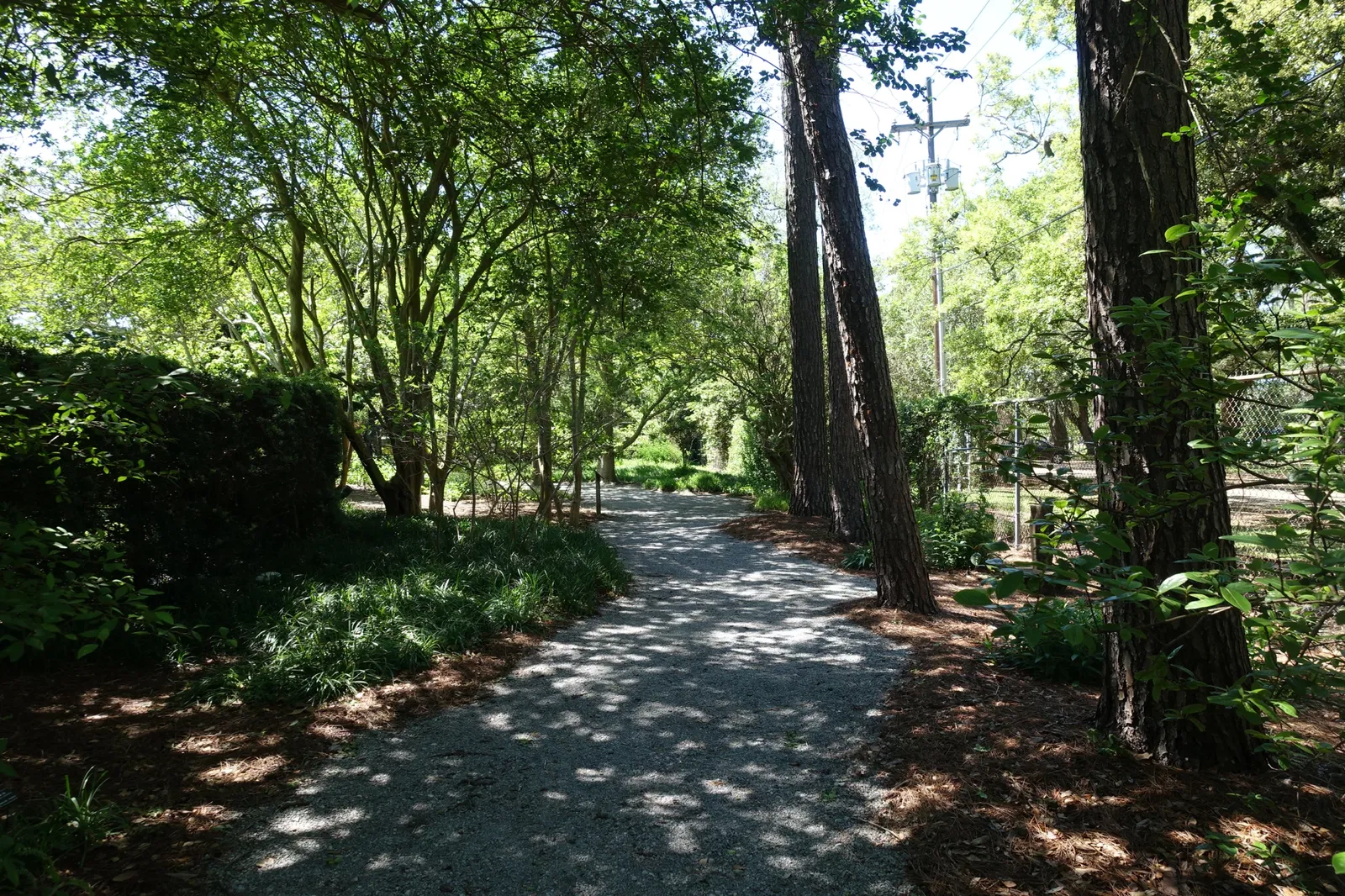 New Orleans Botanical Garden