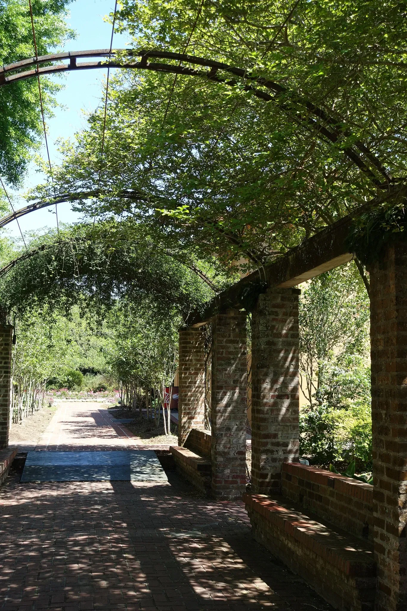 New Orleans Botanical Garden