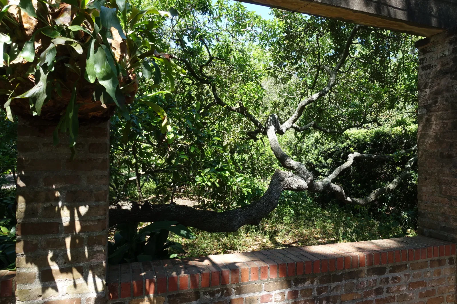 New Orleans Botanical Garden