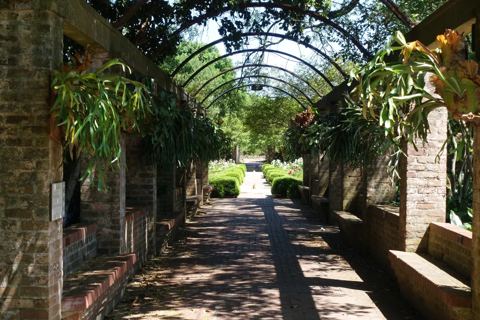 New Orleans Botanical Garden