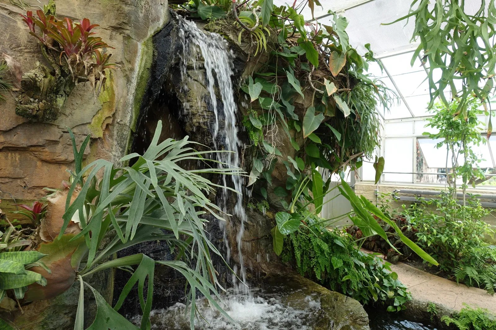 New Orleans Botanical Garden