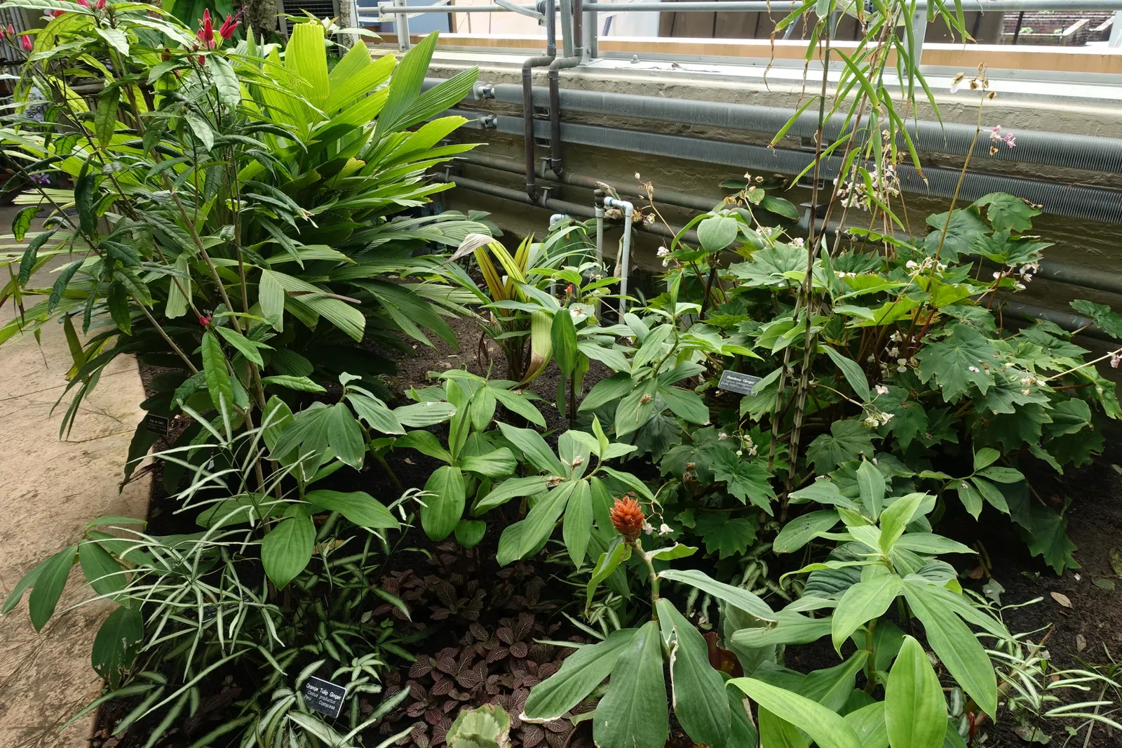 New Orleans Botanical Garden