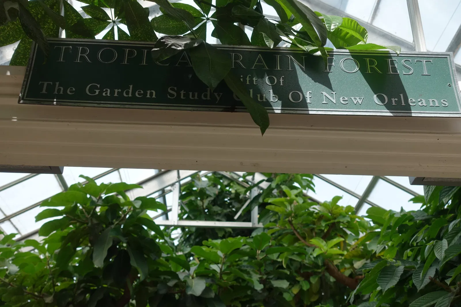 New Orleans Botanical Garden