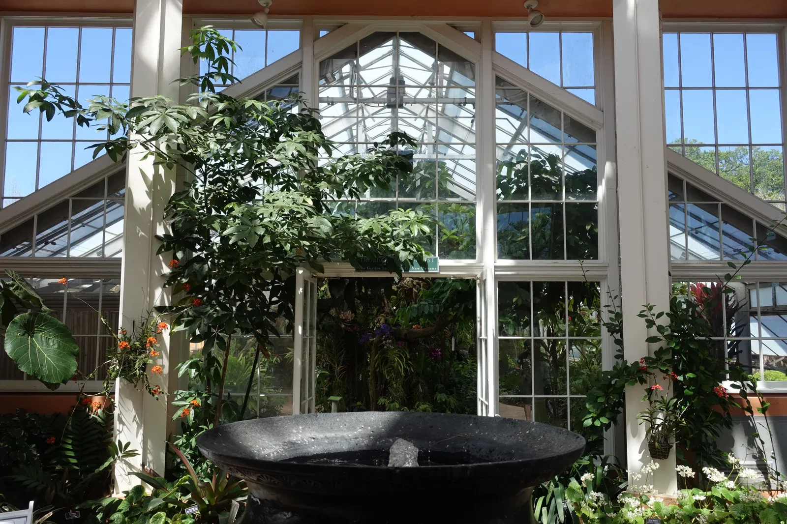 New Orleans Botanical Garden