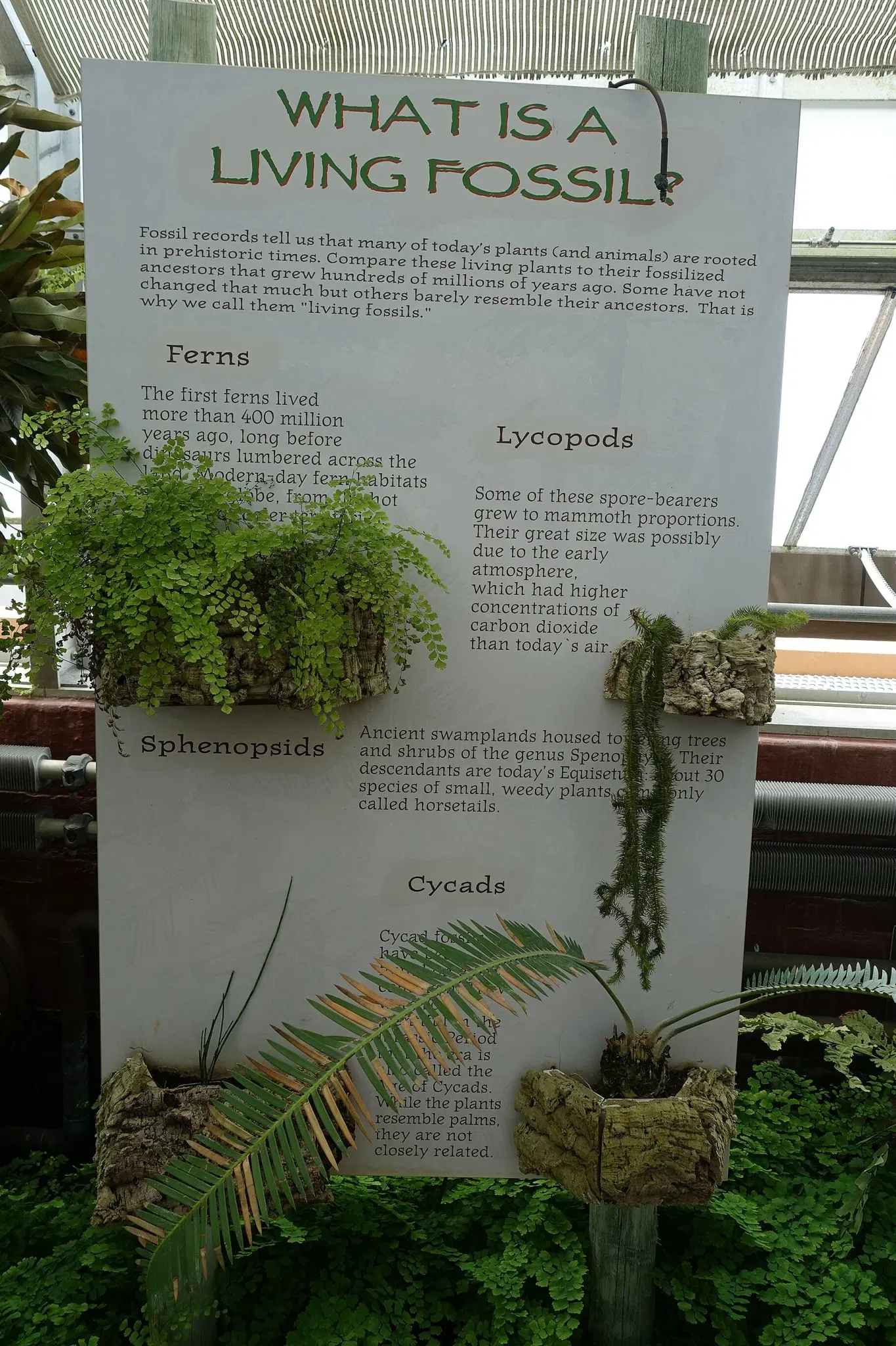 New Orleans Botanical Garden