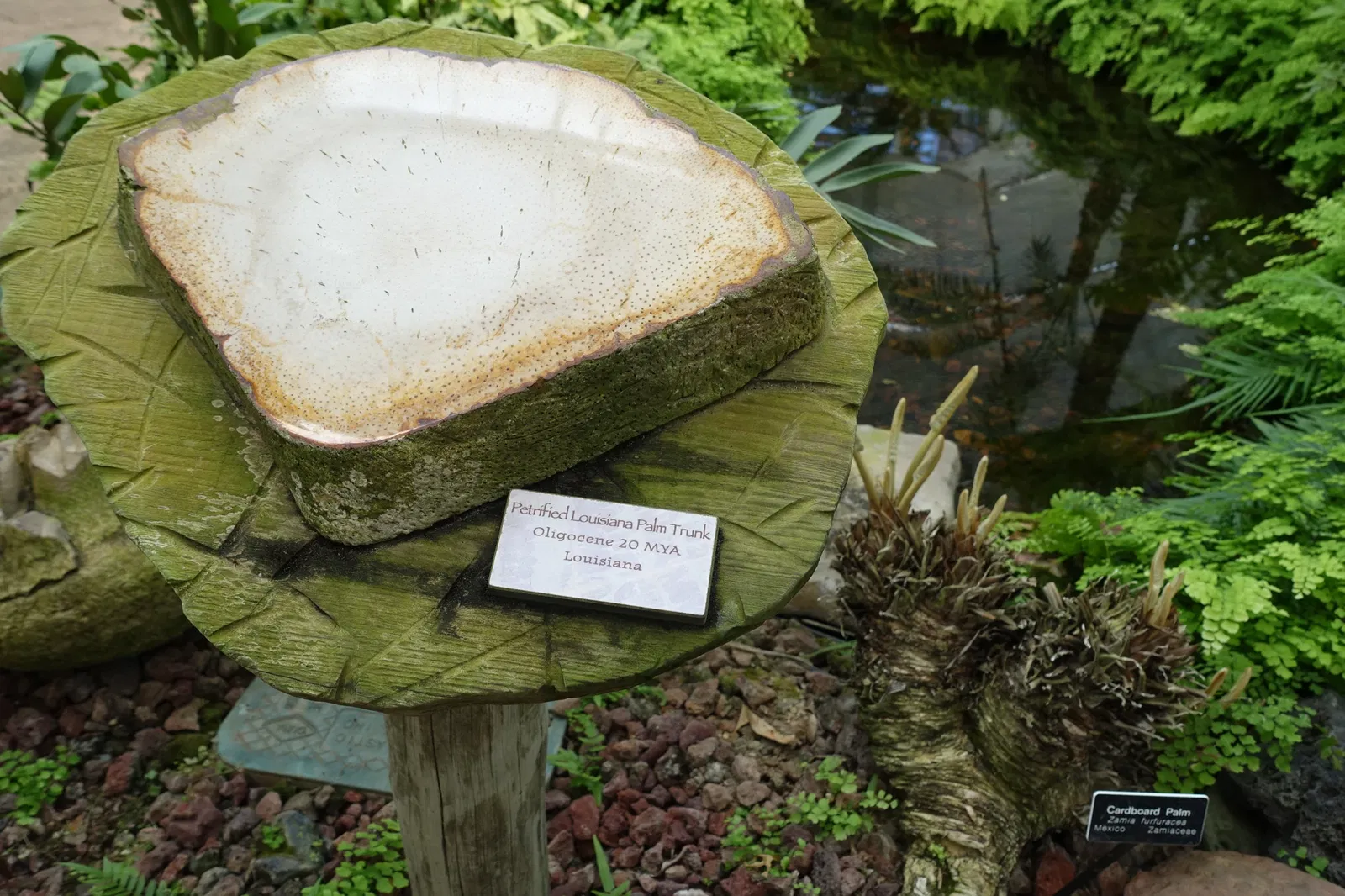 New Orleans Botanical Garden