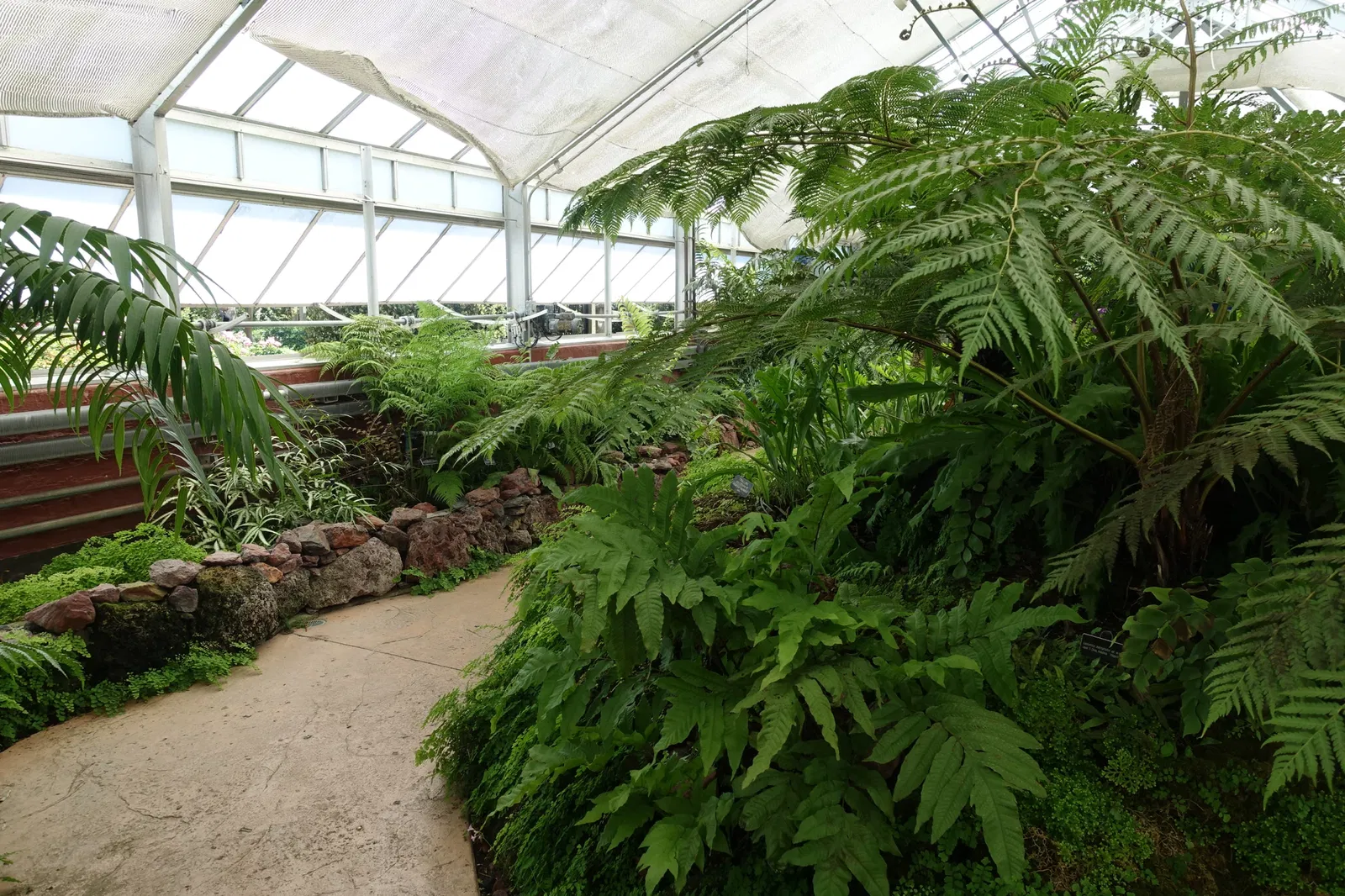 New Orleans Botanical Garden