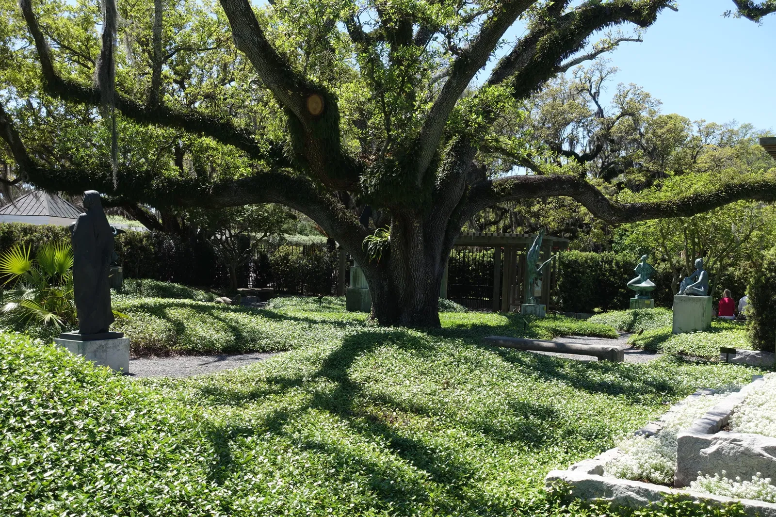 New Orleans Botanical Garden