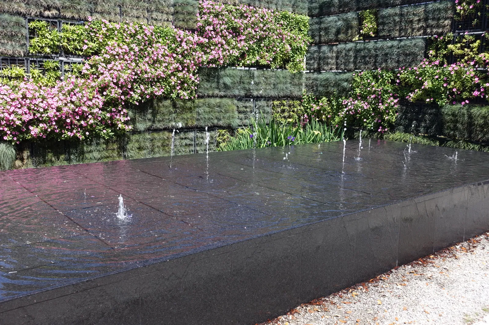 New Orleans Botanical Garden