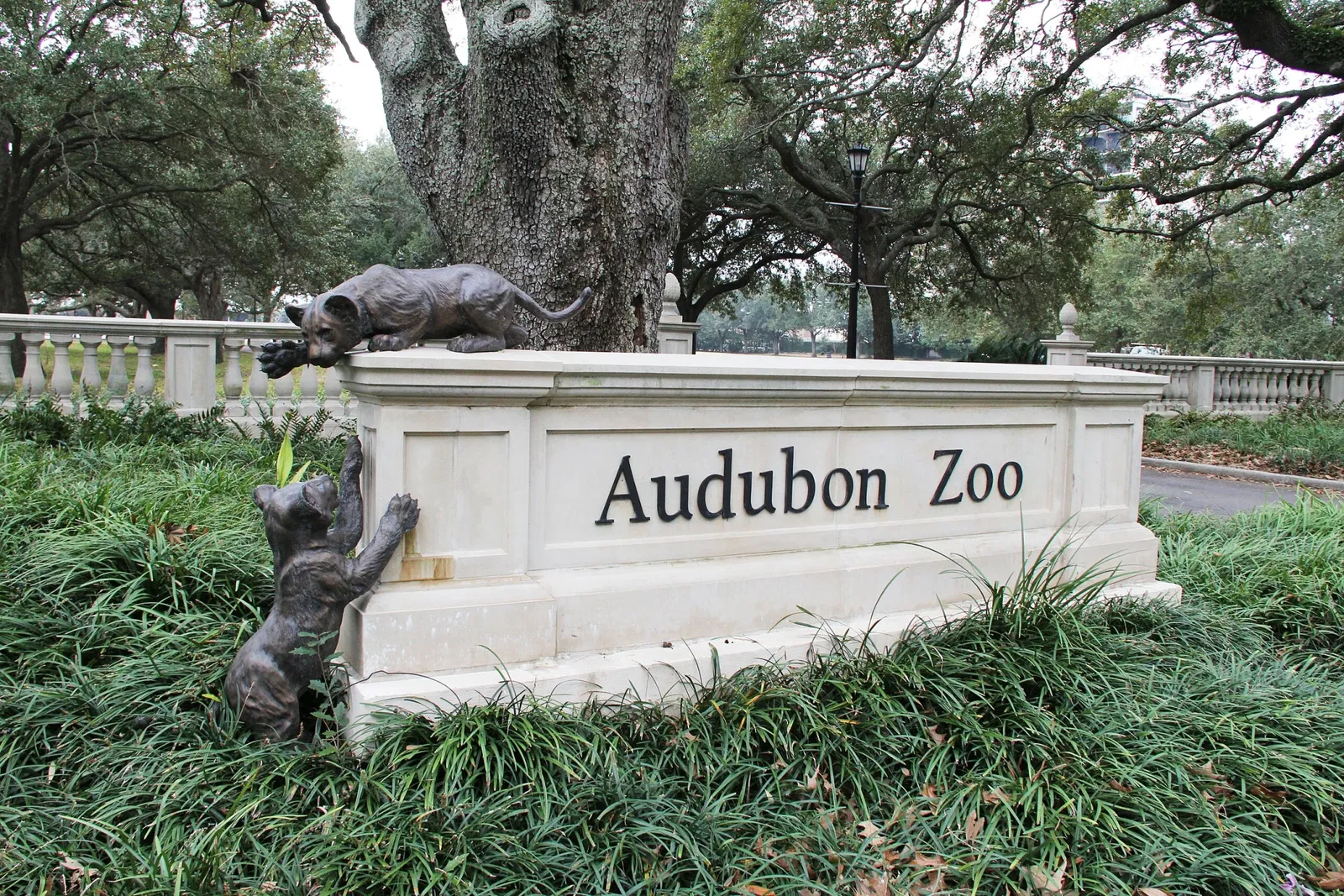 Audubon Zoo