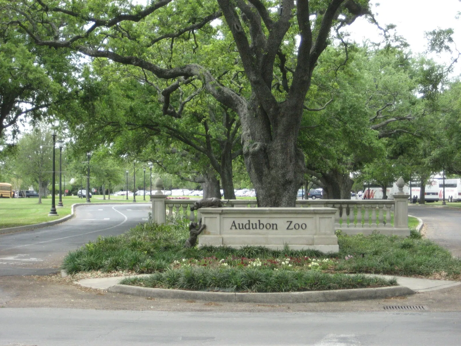 Audubon Zoo