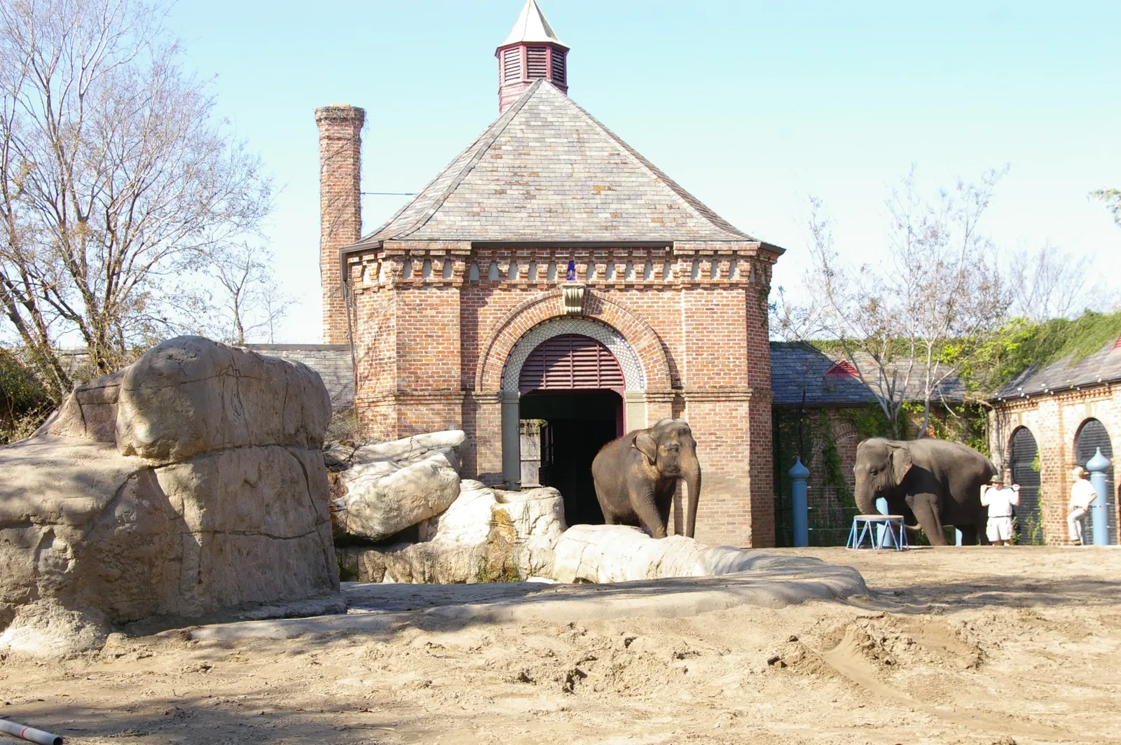 Audubon Zoo