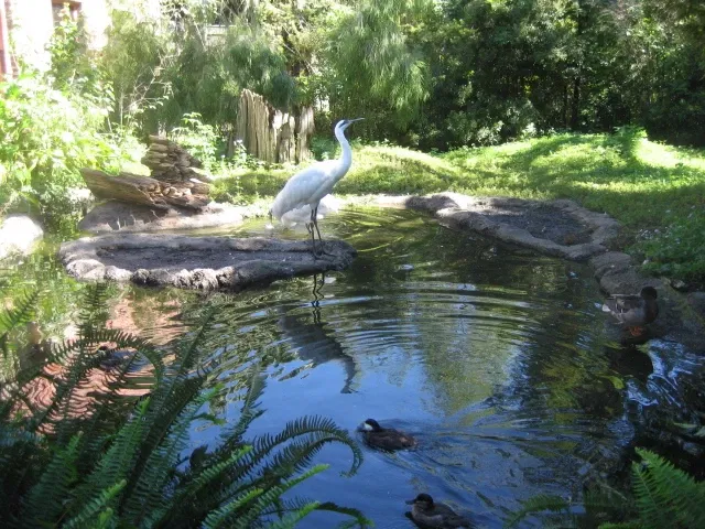 Audubon Zoo