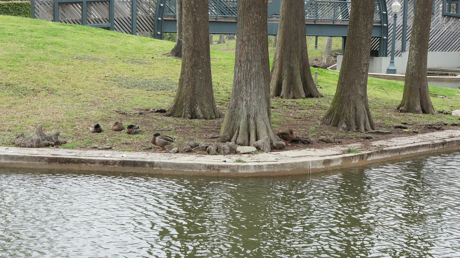 Louis Armstrong Park