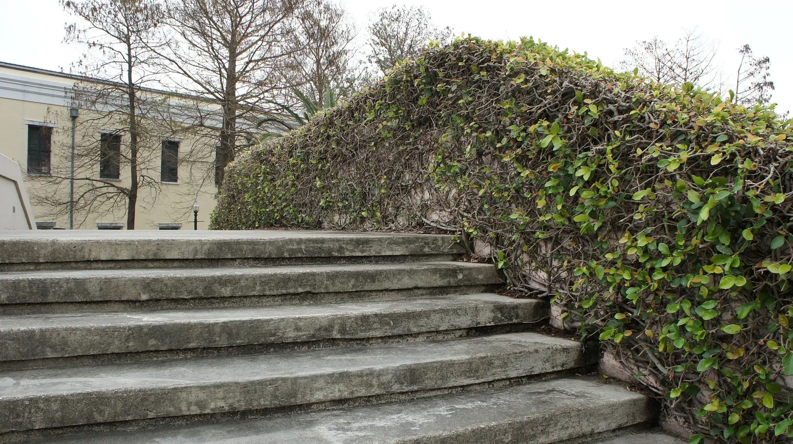 Louis Armstrong Park