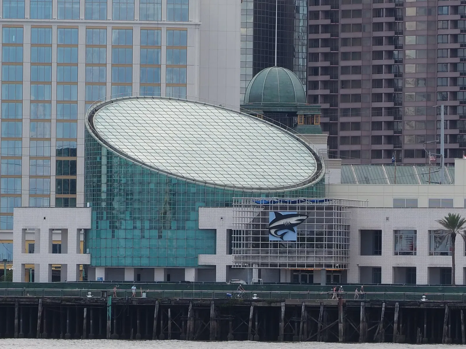 Aquarium of the Americas