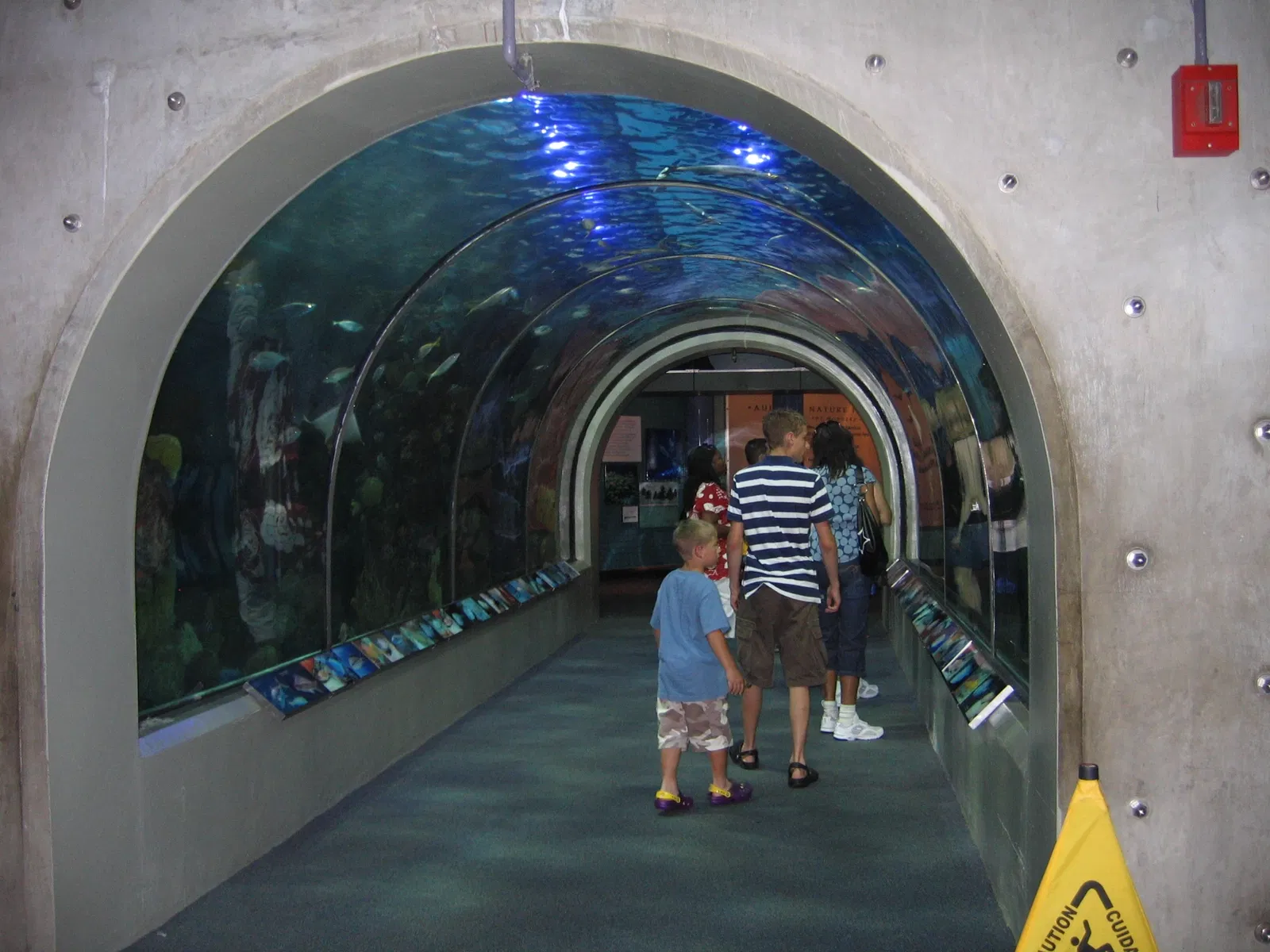 Aquarium of the Americas
