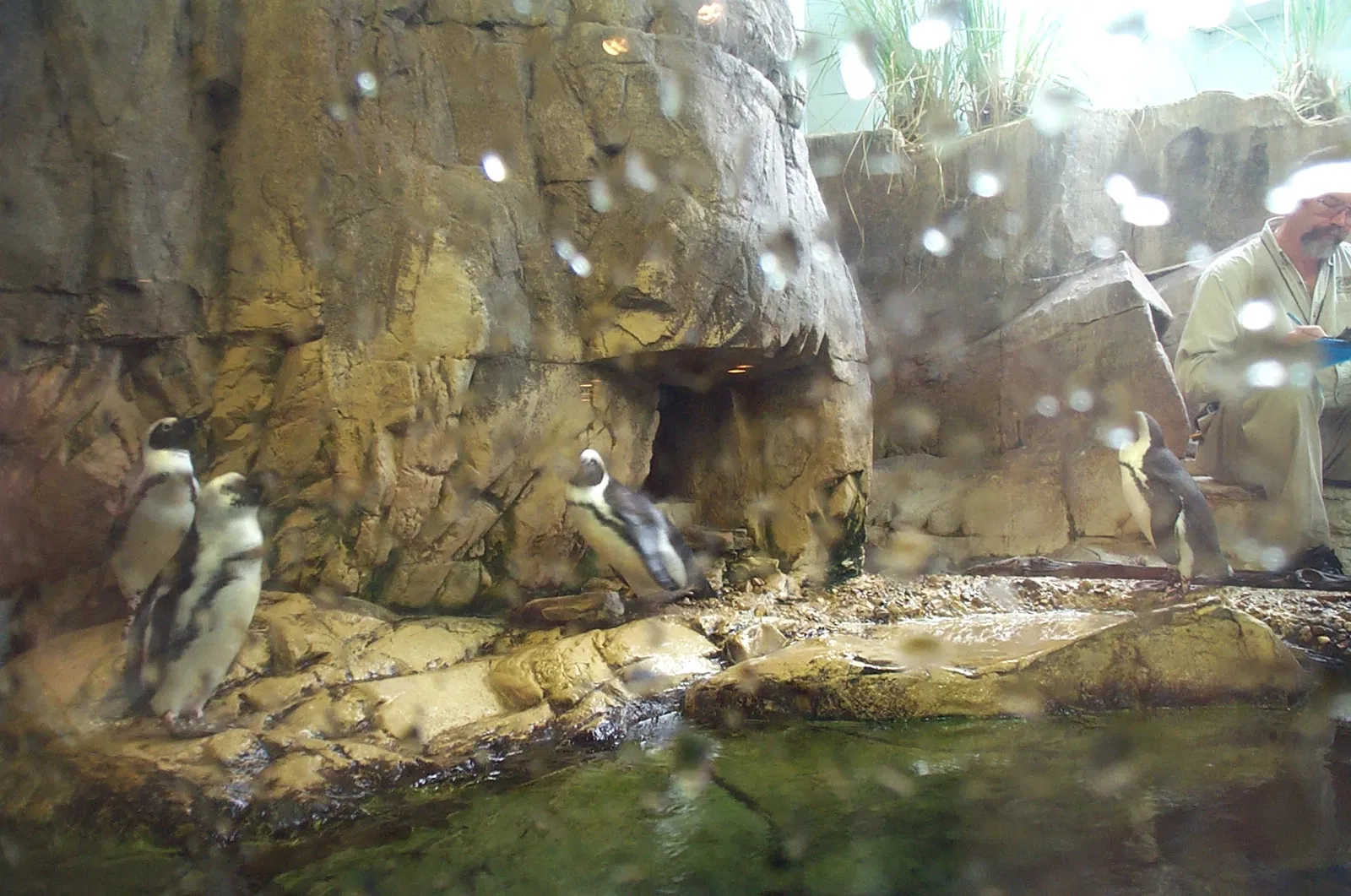 Audubon Aquarium of the Americas