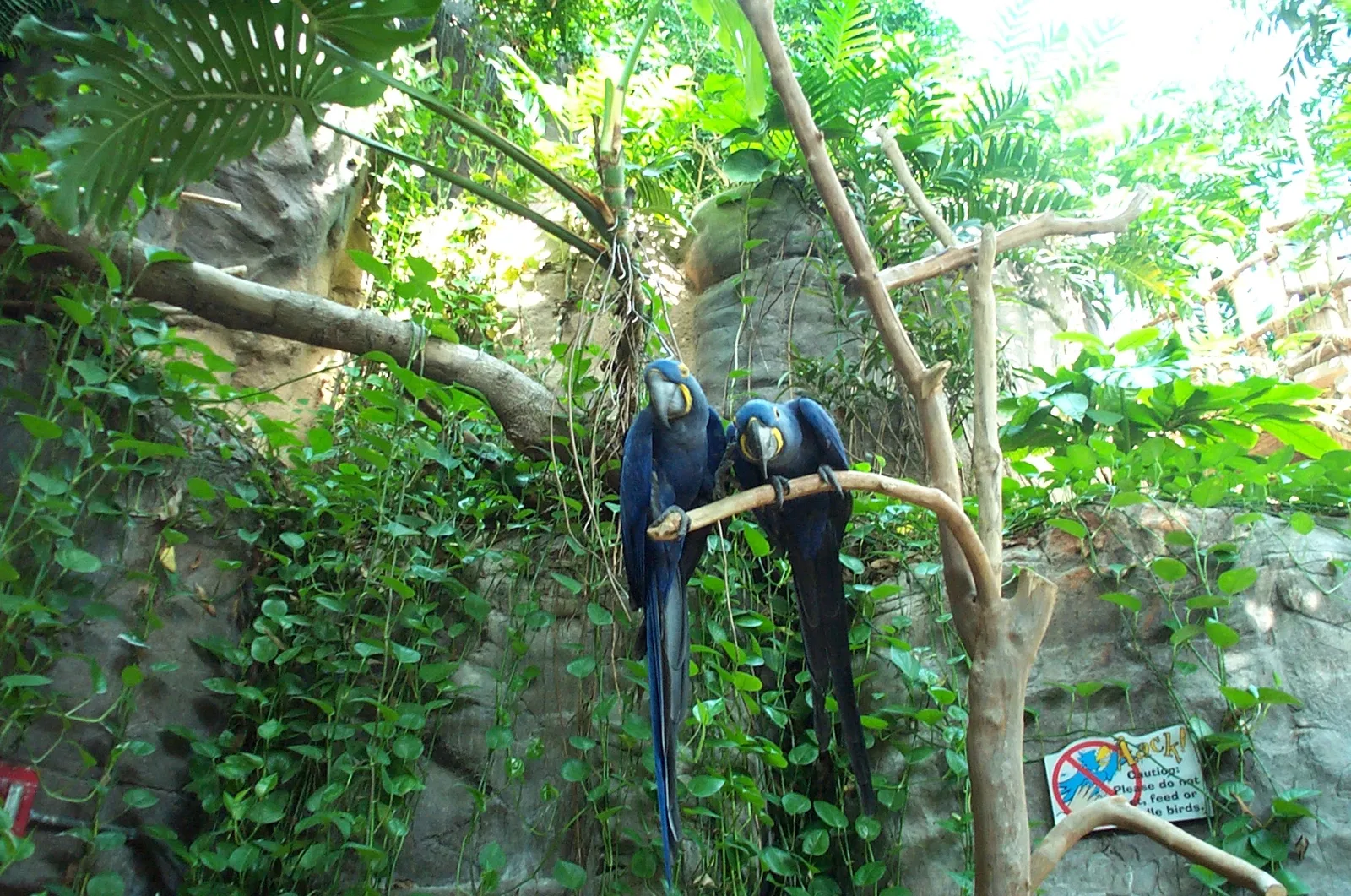 Aquarium of the Americas