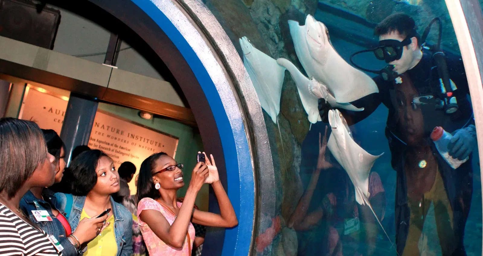 Audubon Aquarium of the Americas