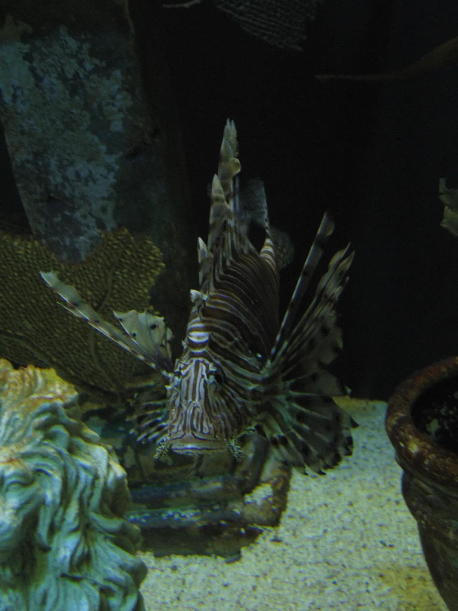 Audubon Aquarium of the Americas