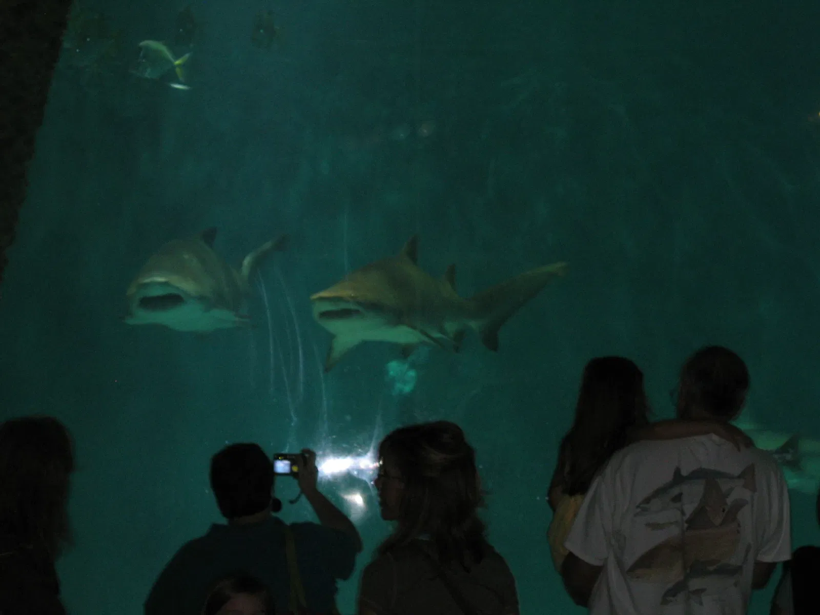 Audubon Aquarium of the Americas