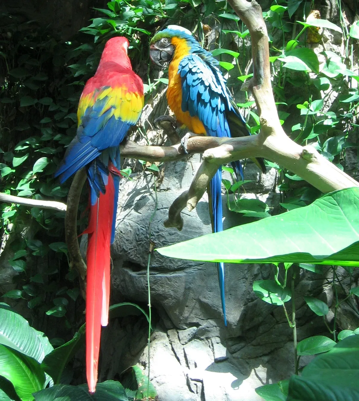 Audubon Aquarium of the Americas