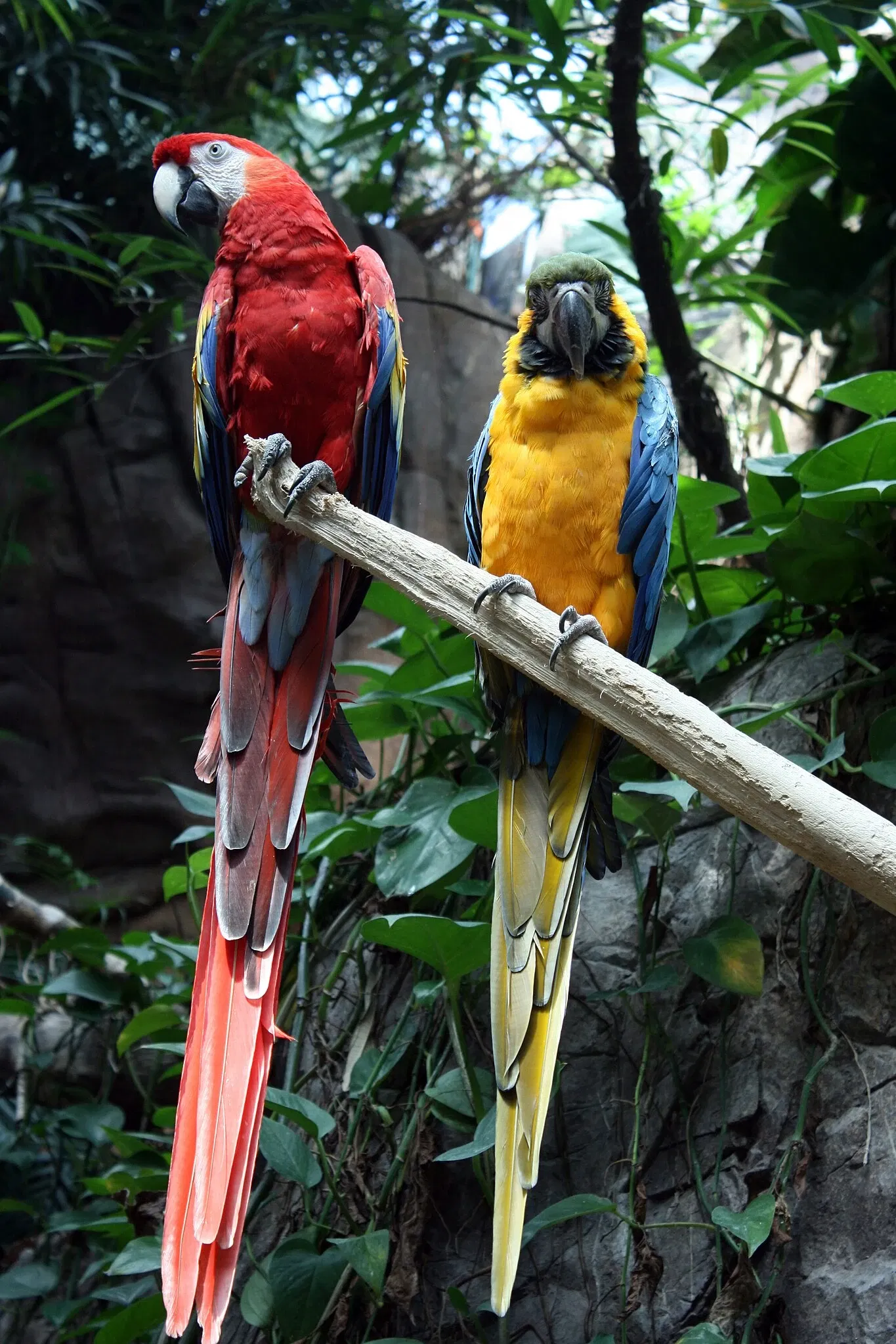 Audubon Aquarium of the Americas