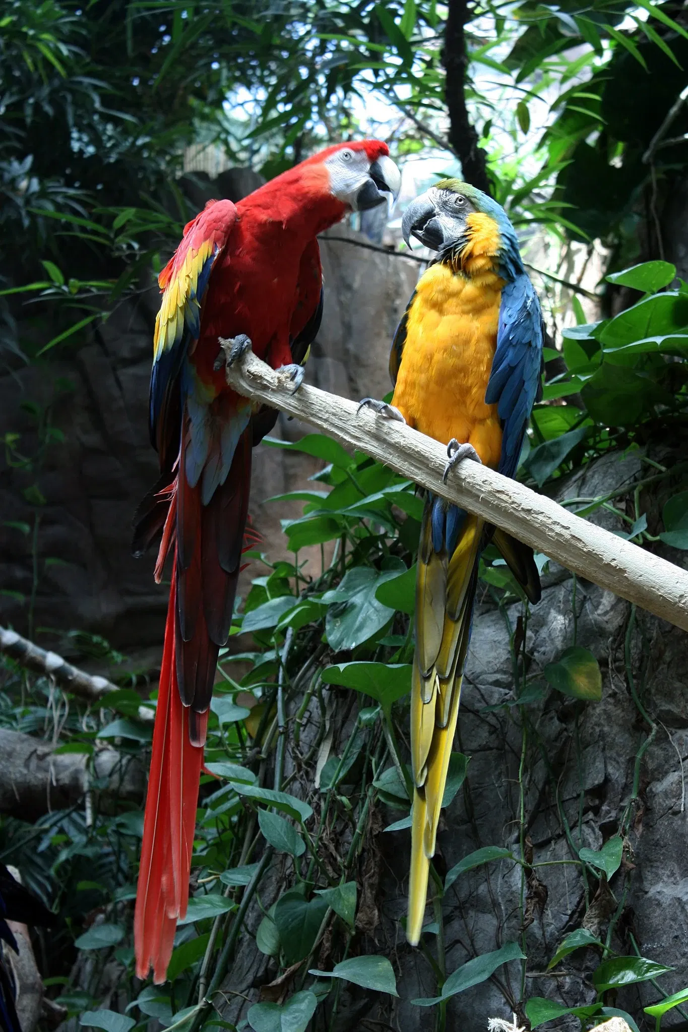 Aquarium of the Americas