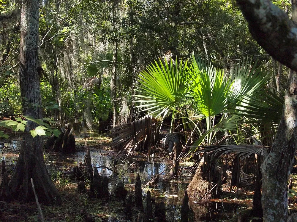 Jean Lafitte National Historical Park and Preserve