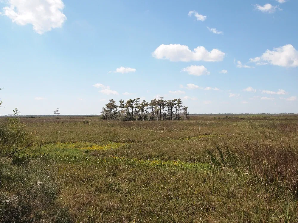 Parc historique national et réserve Jean Lafitte