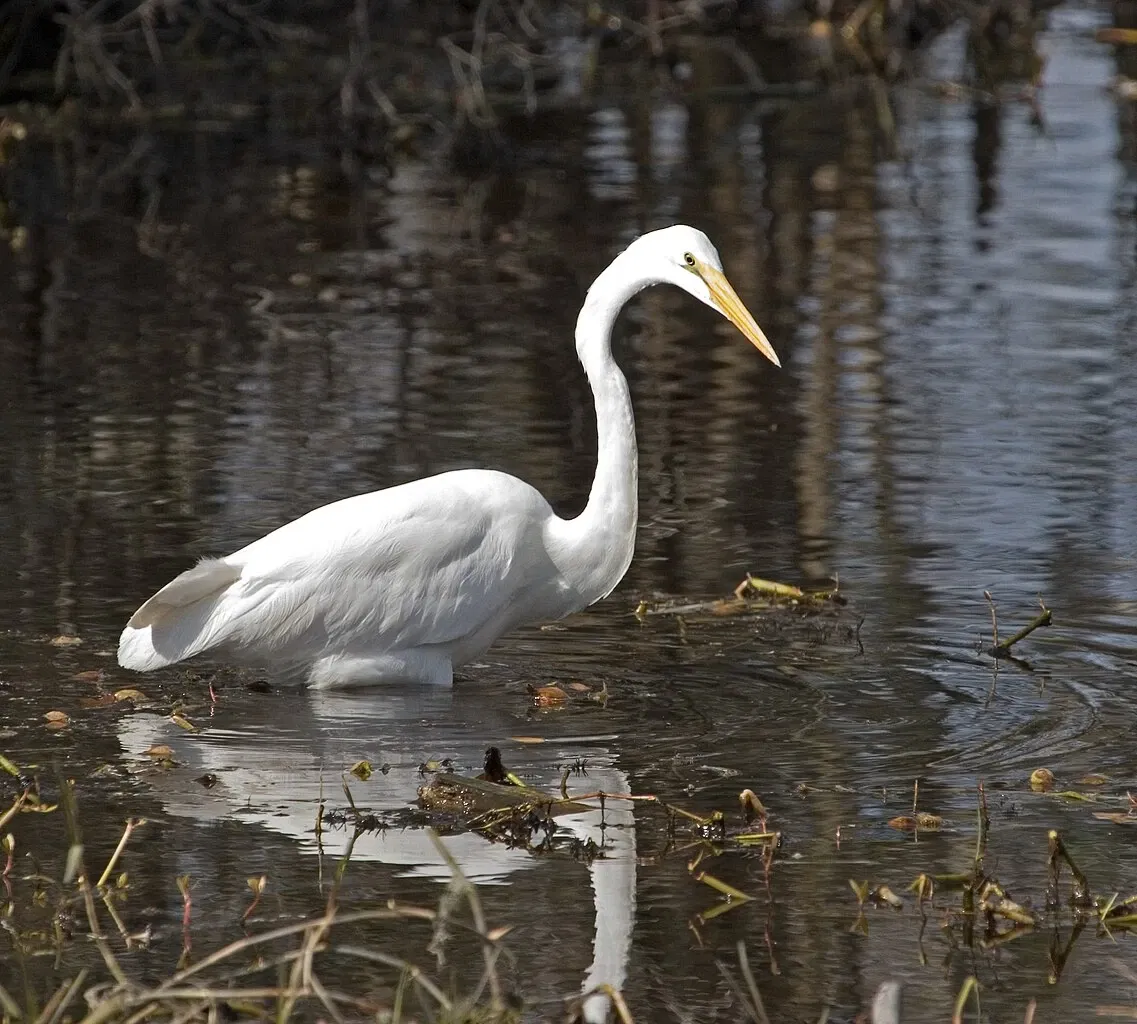 Jean Lafitte National Historical Park and Preserve