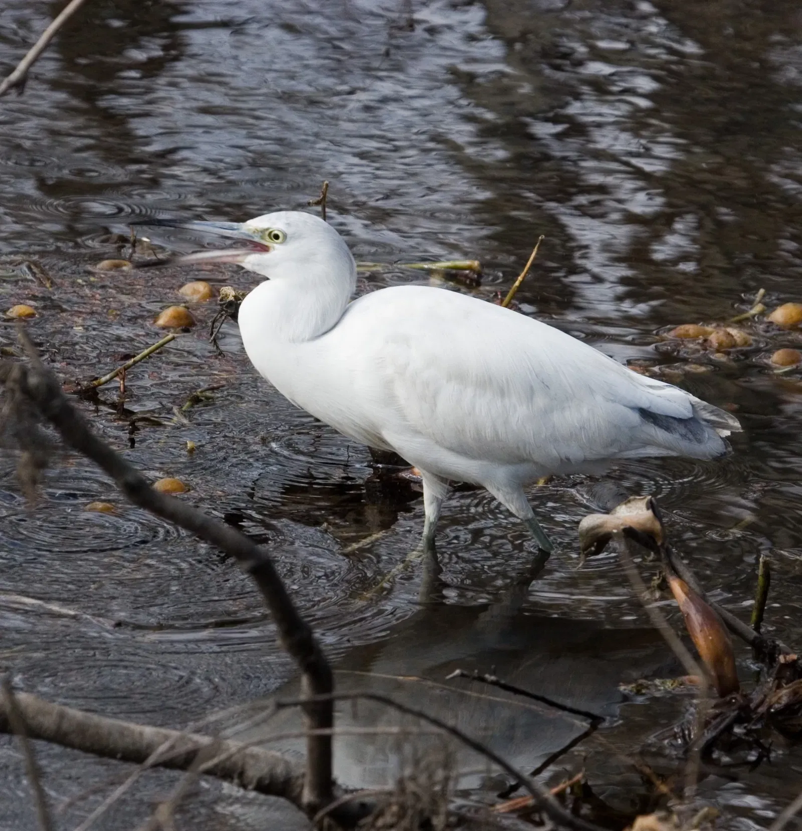 Jean Lafitte National Historical Park and Preserve