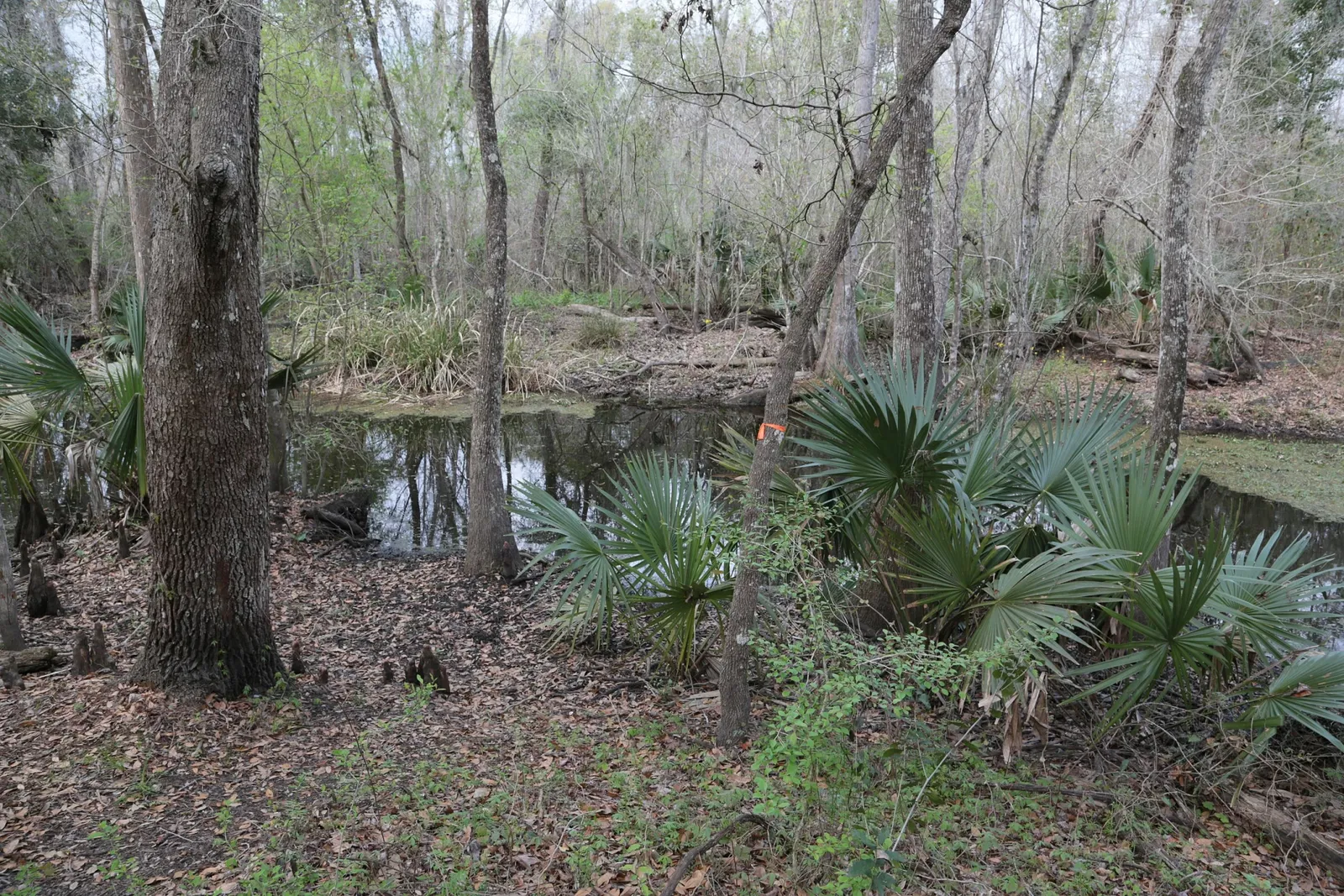 Jean Lafitte National Historical Park and Preserve