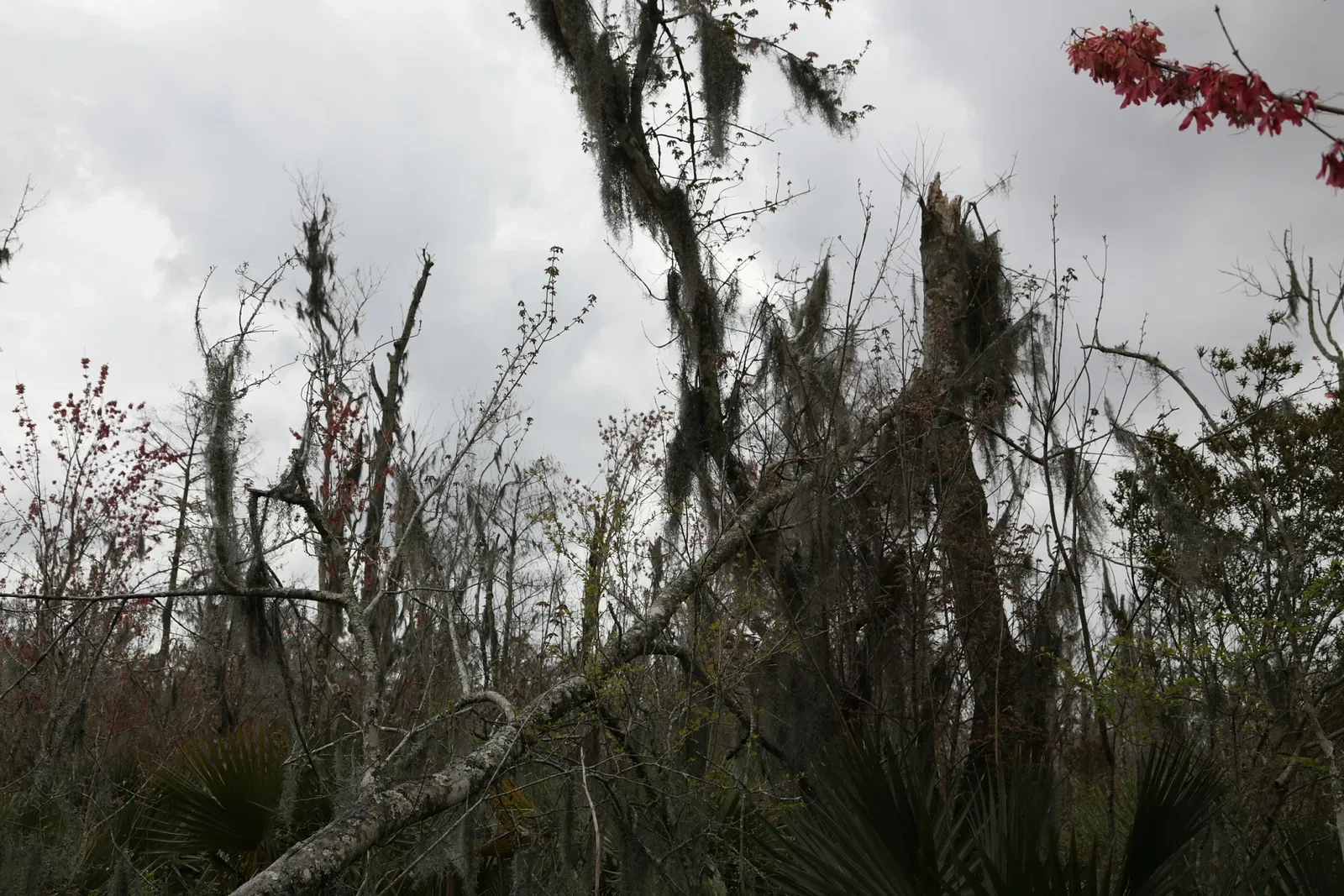 Jean Lafitte National Historical Park and Preserve