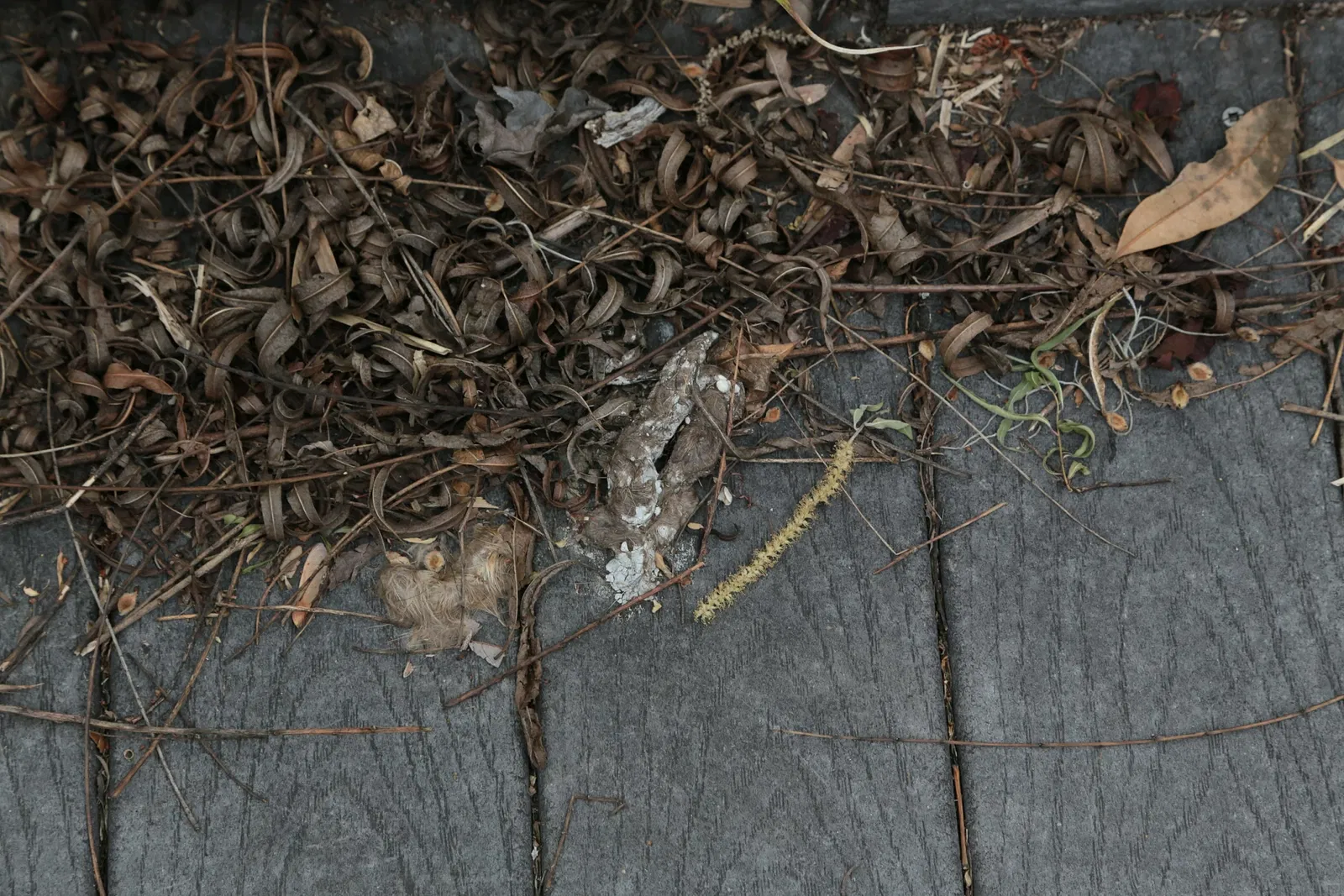 Jean Lafitte National Historical Park and Preserve