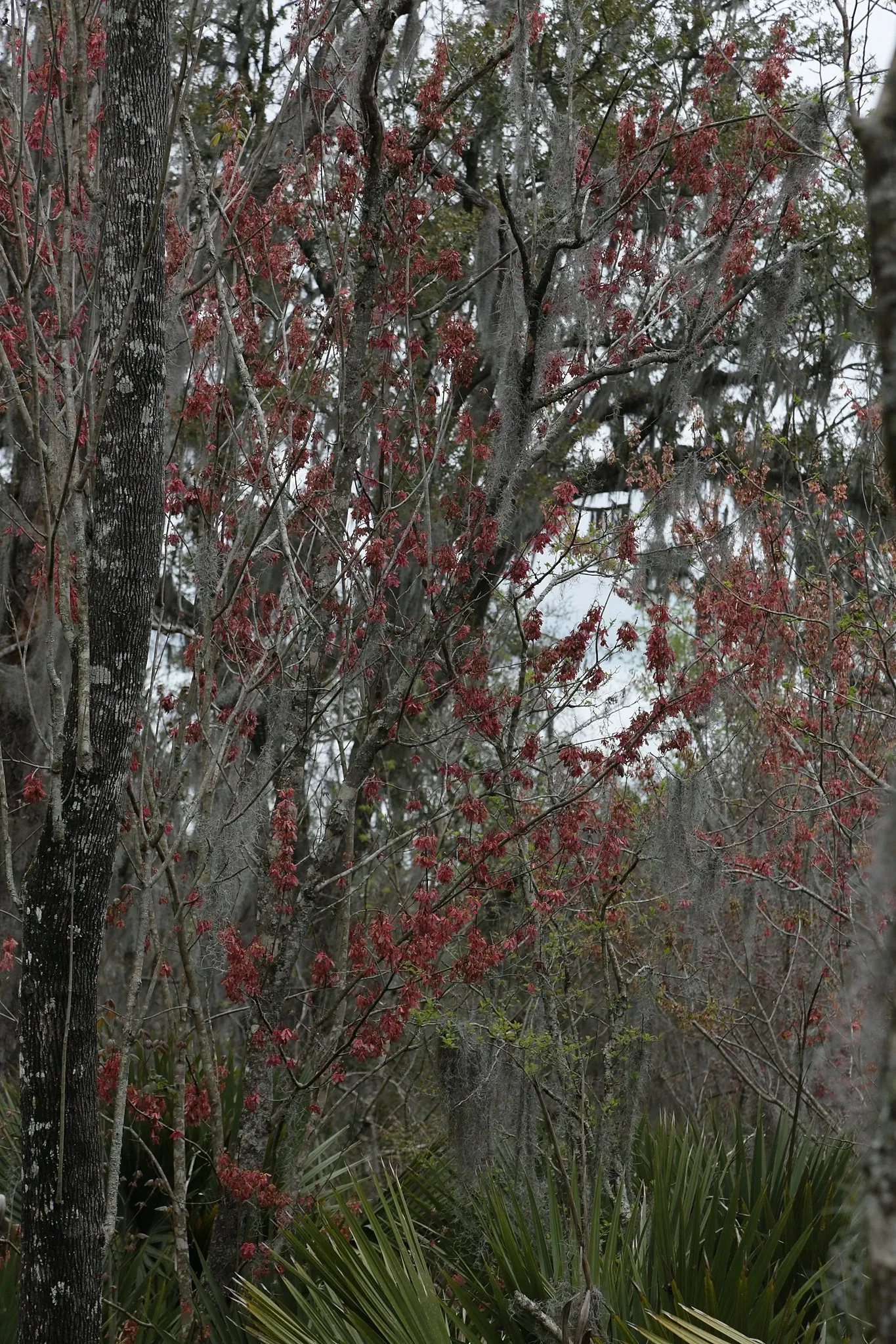 Jean Lafitte National Historical Park and Preserve