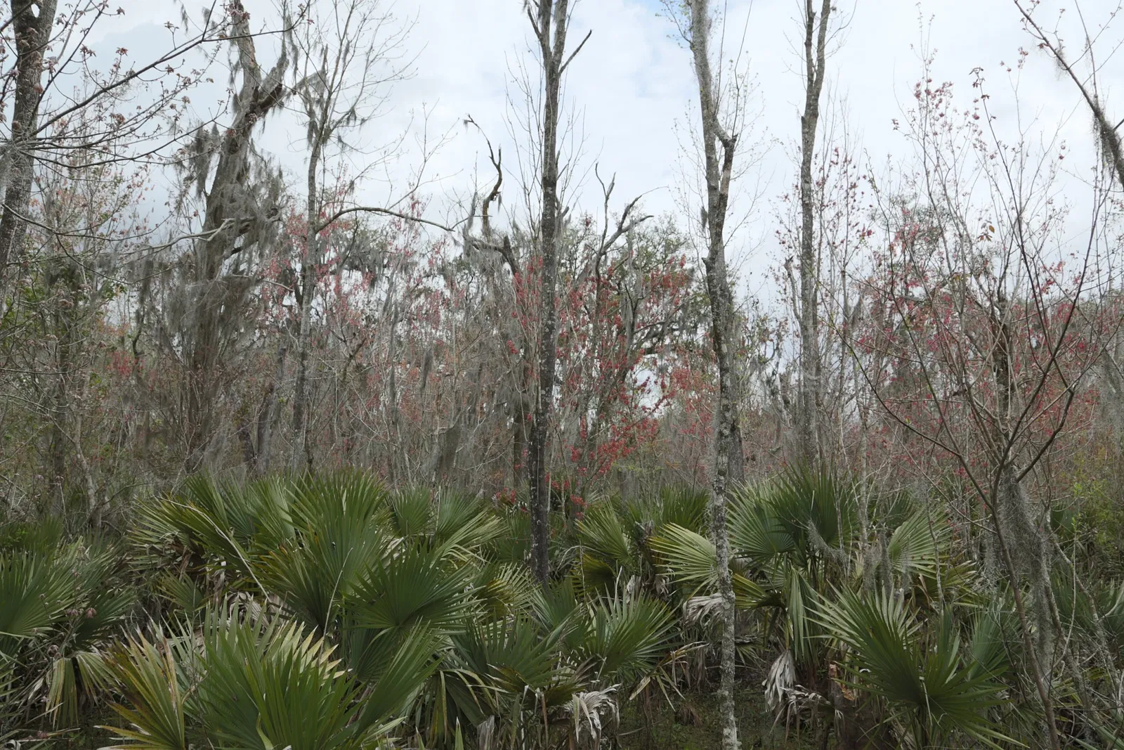 Jean Lafitte National Historical Park and Preserve