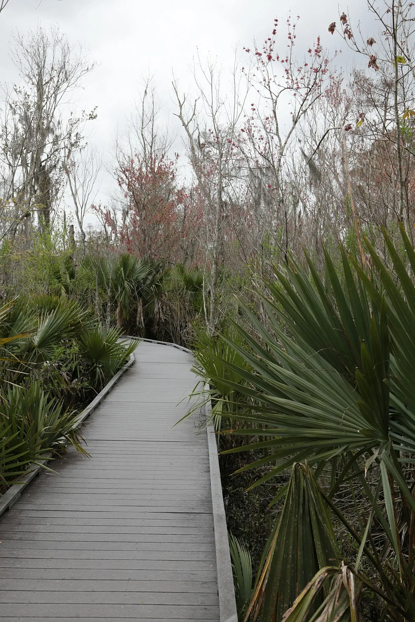 Jean Lafitte National Historical Park and Preserve