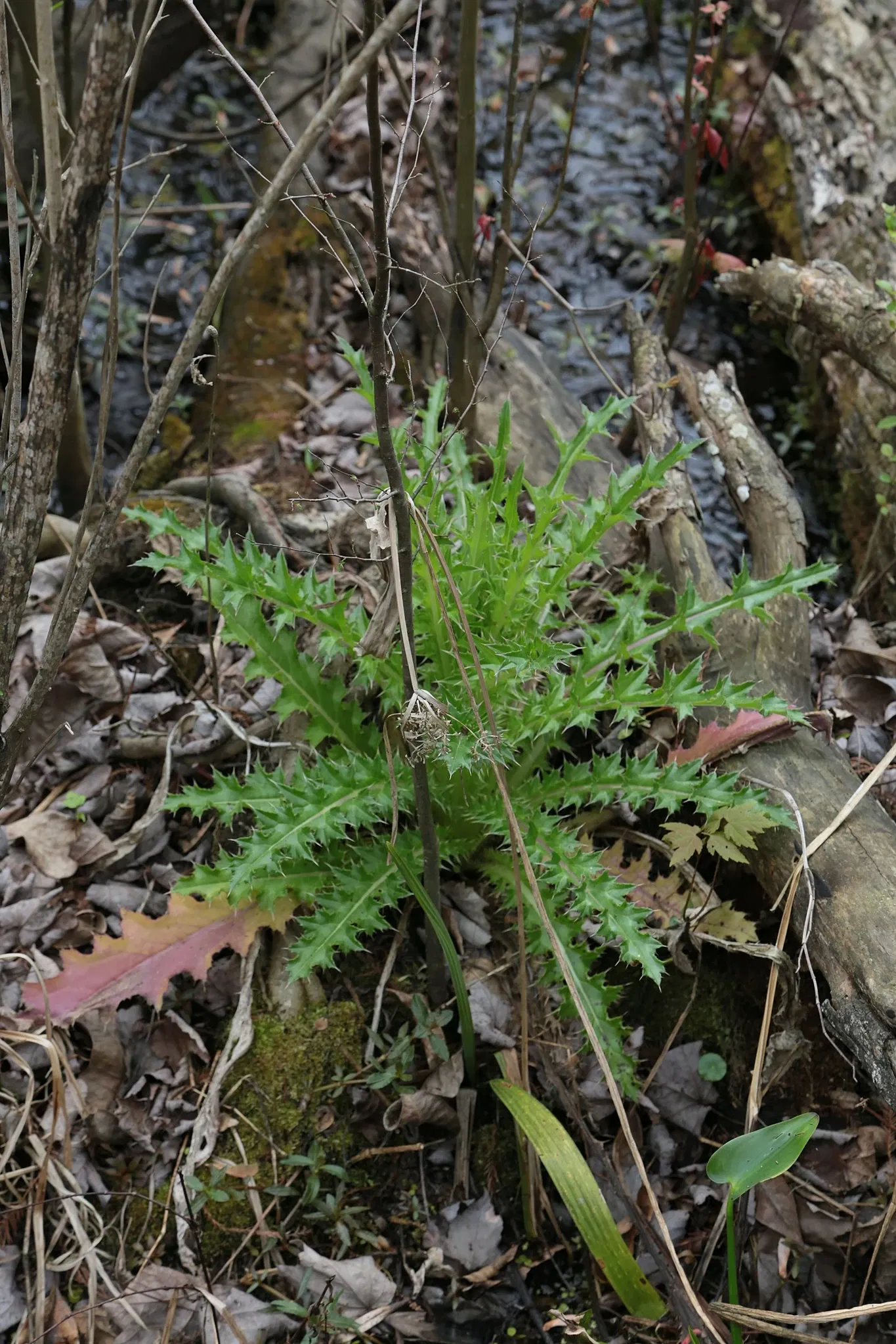 Parc historique national et réserve Jean Lafitte