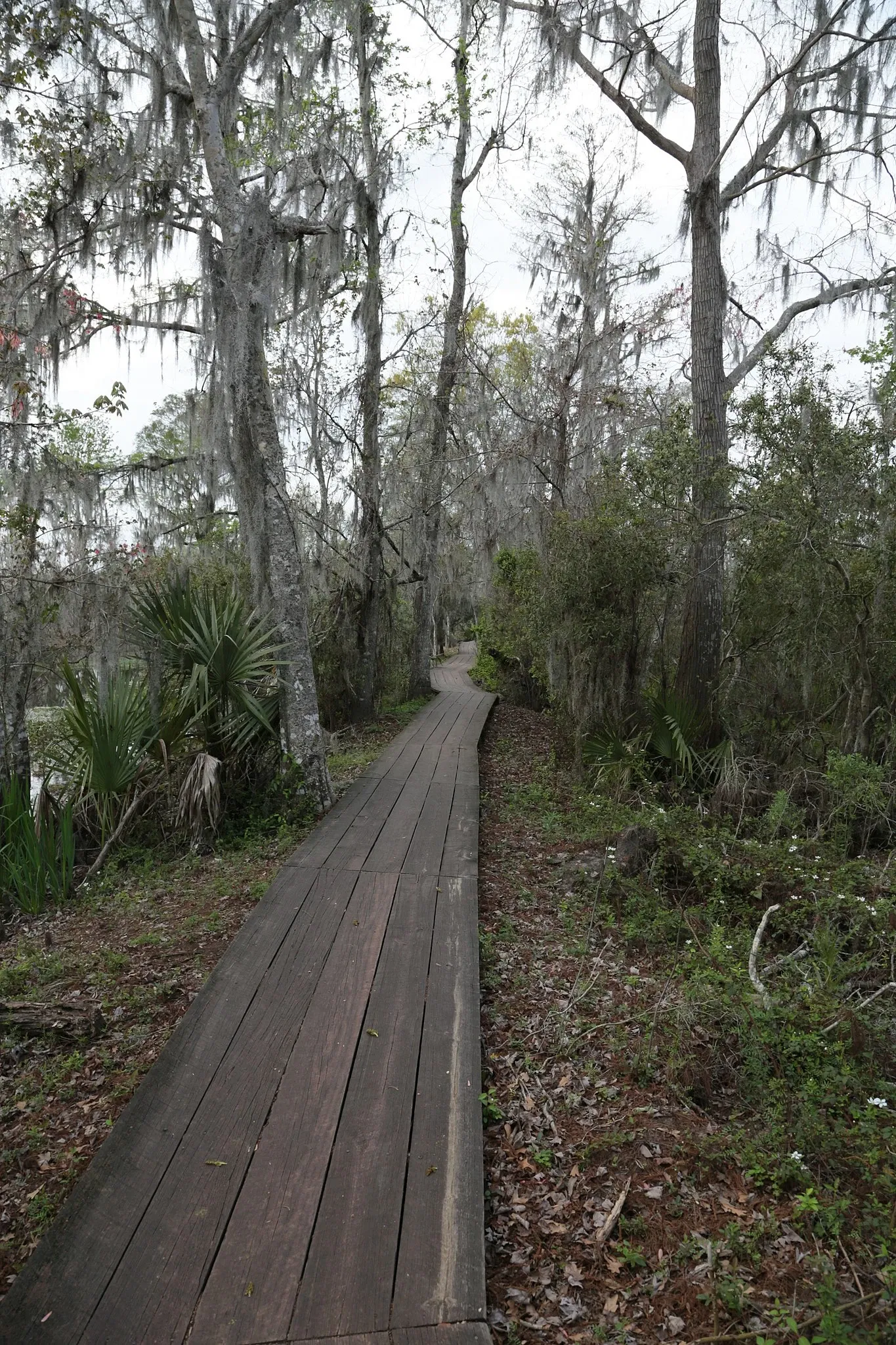 Jean Lafitte National Historical Park and Preserve